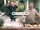 In Which Jay Mariotti Lands a Geico Commercial