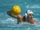 USA Water Polo Finishes Strong in Beijing