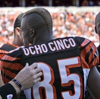 Ochocinco