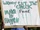Why Brett Favre Makes the Jets a Playoff Contender