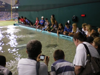 Come on! WHO really thinks the Rays can be touched? (photo by Manny Stiles)