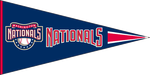 Nats Pennant