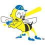 Burlington-bees