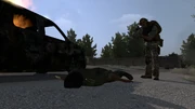Arma2-campaign-operationarrowhead-14