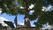Oak tree with notes pinned by the villagers (2034)
