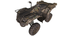 quad bike - Wiktionary, the free dictionary