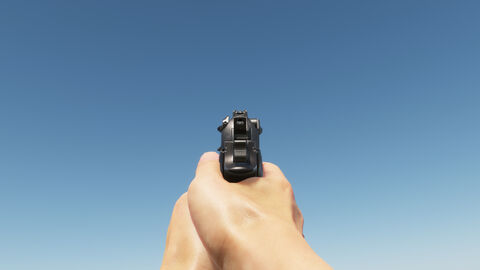 Reforger-m9-ironsight-overview