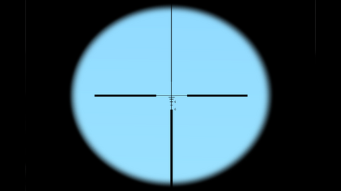 Arma1-m16a4acog-ironsight-overview