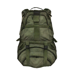 Carry top all backpack