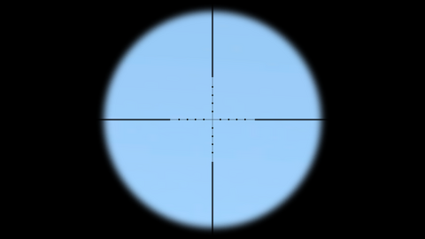 Arma2-m107-ironsight-overview