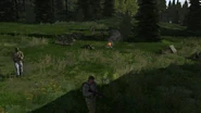Arma2-faction-bystricanmilitia-00.png (1.65 MB)