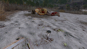 Arma3-mission-scouting-22