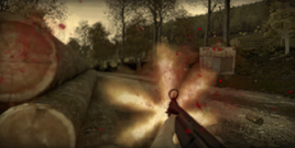Arma2-campaign-eaglewing-endoftheworld-overview