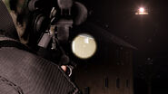 Note the projected dot at the centre of the spotlight.