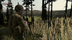 ARMA II