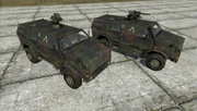 Unused German Dingo variants.