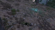 Arma3-mission-scouting-27