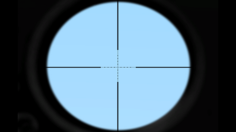 Arma1-m107-ironsight-overview