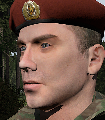 Why are good mods like this one made private? : r/arma