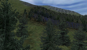 OFP-terrain-everon-03