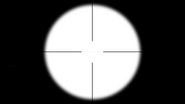 Reticle.