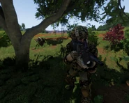 Grenadier variant. Note the grenade round visibly loaded inside the tube.