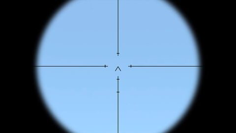 Arma2-rbs70-ironsight-overview