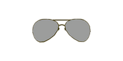Arma3-facewear-aviatorglasses.png