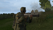 Arma2-bizon-05