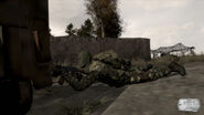 Arma2F-Screenshot-18