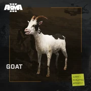 Promotional image released for ArmA 3's ninth anniversary (as part of the so-called "Legendary Assets" series), jokingly referencing PVT Nelson's antics.