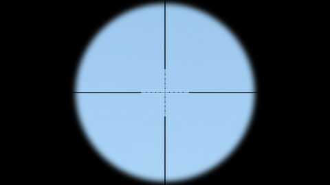 Arma2-m24-ironsight-overview