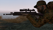 Arma2-mk12-02