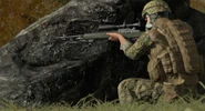 Arma2-dmr-04.jpg (146 KB) Arma2-dmr-04