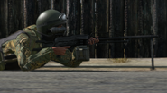 Arma2-pkp-05