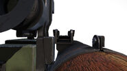 Weapon ironsights.
