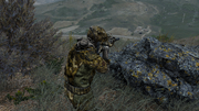 Arma3-mission-marksmen-02