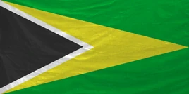 Arma3-flag-republicofaltisandstratis