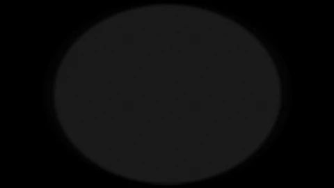  ENVG-II first person overlay with white-hot thermal vision