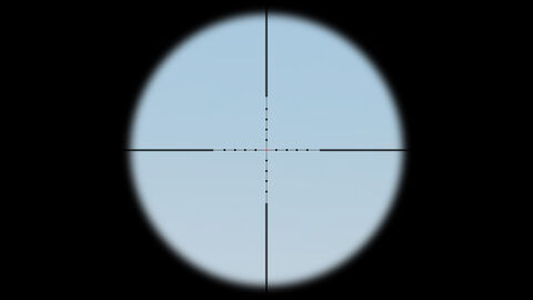 Arma2-lrr-ironsight-overview