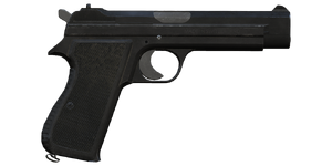 The P2 9 mm handgun.