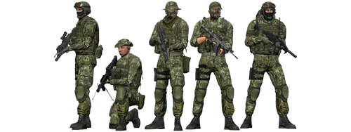ArmA 2-era NATO SOF (601st SFG / Bystrica)