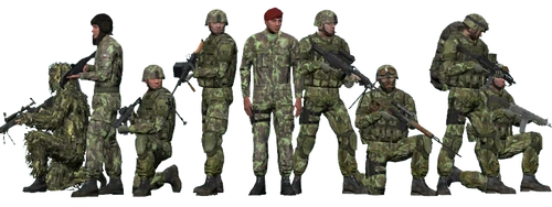ArmA 2-era NATO soldiers (ACR / Bystrica)