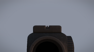 Backup ironsight view.