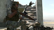 M14 battle rifle and Mk 48 Mod 0 (bottom-right) with CompM2s.