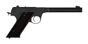 The HD .22 handgun.