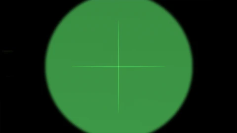 Arma2-fnfalpvs4-ironsight-overview