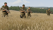 Variants in order from left-to-right: Officer, Rolled-up, Tank Top, Sweater.