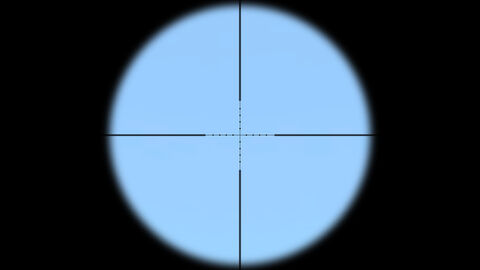 Arma2-cz750s1m1-ironsight-overview