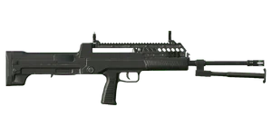 The CAR-95-1 5.8 mm bullpup light support weapon.